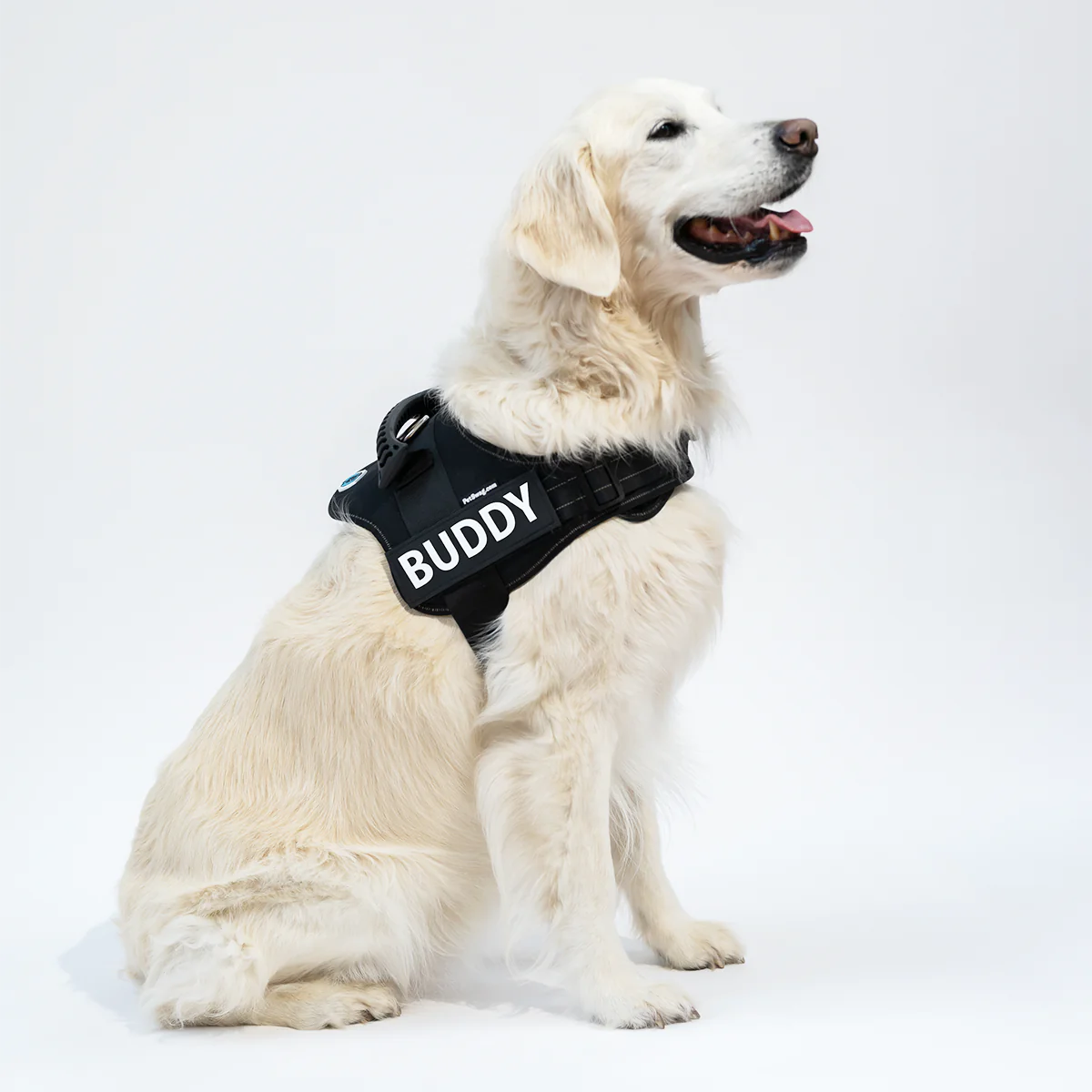 Personalisiertes Anti-Zug Hundegeschirr