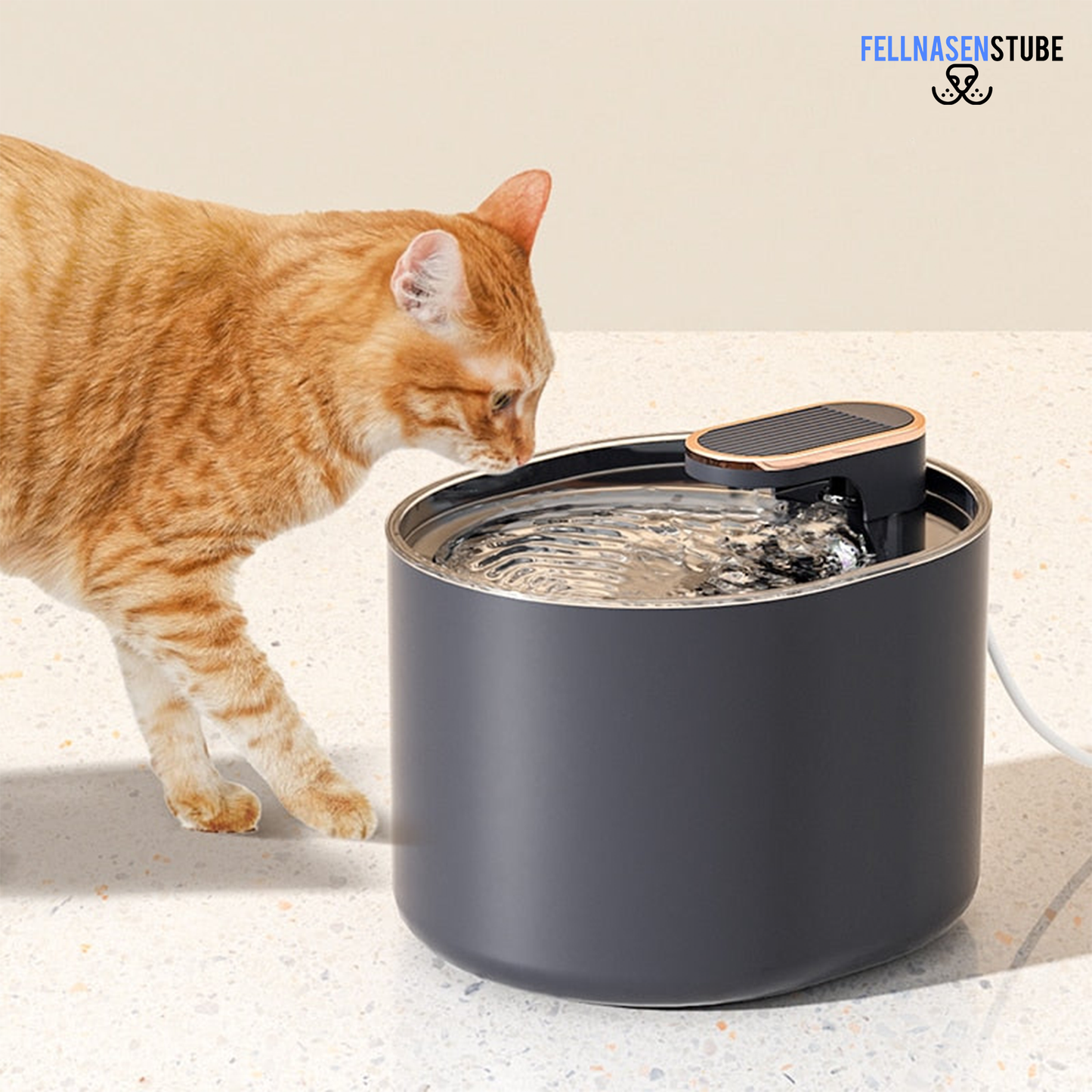 AquaFun™ Katzenbrunnen mit Wasserfilter