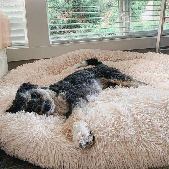 "Wolke 7" Kuscheliges Hundebett