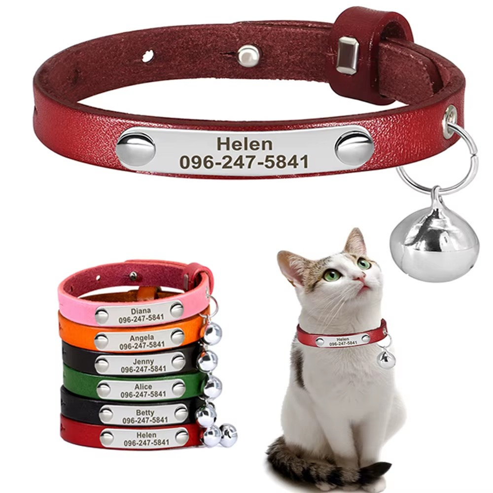 Personalisiertes Katzenhalsband mit Gravur