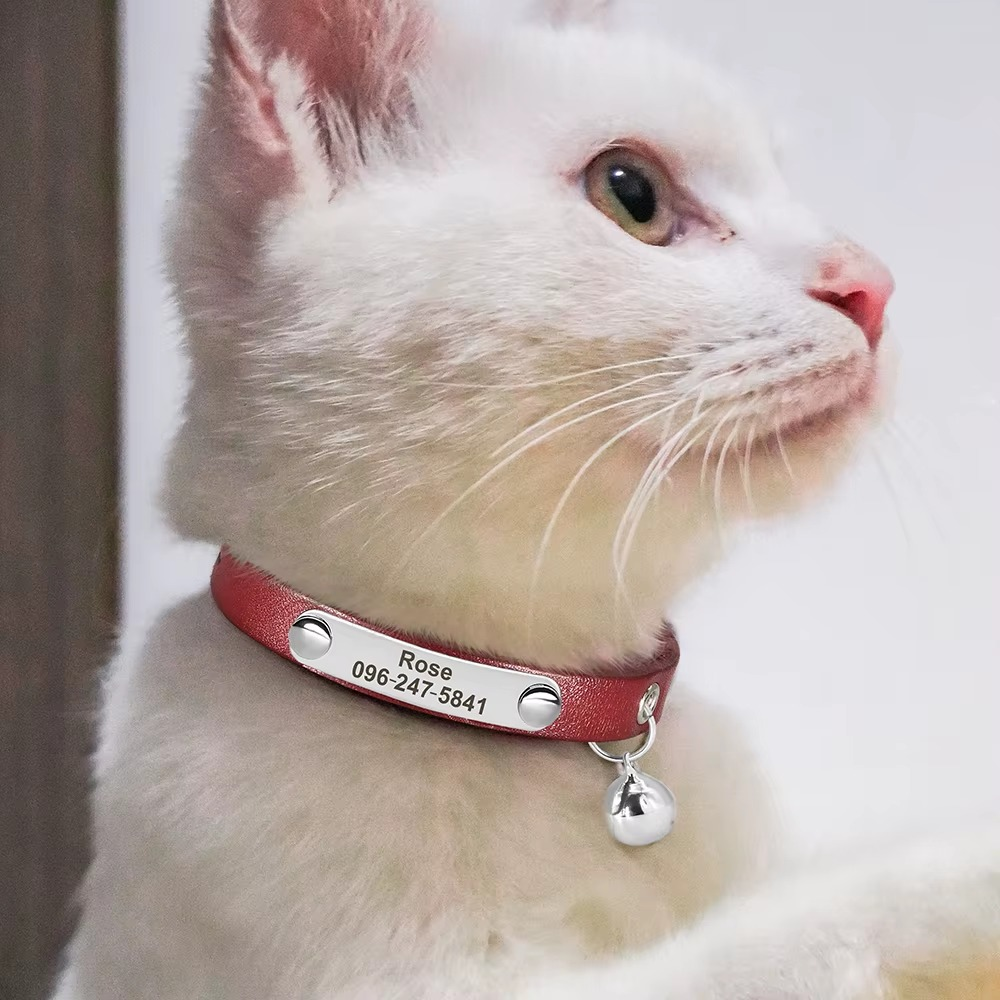 Personalisiertes Katzenhalsband mit Gravur