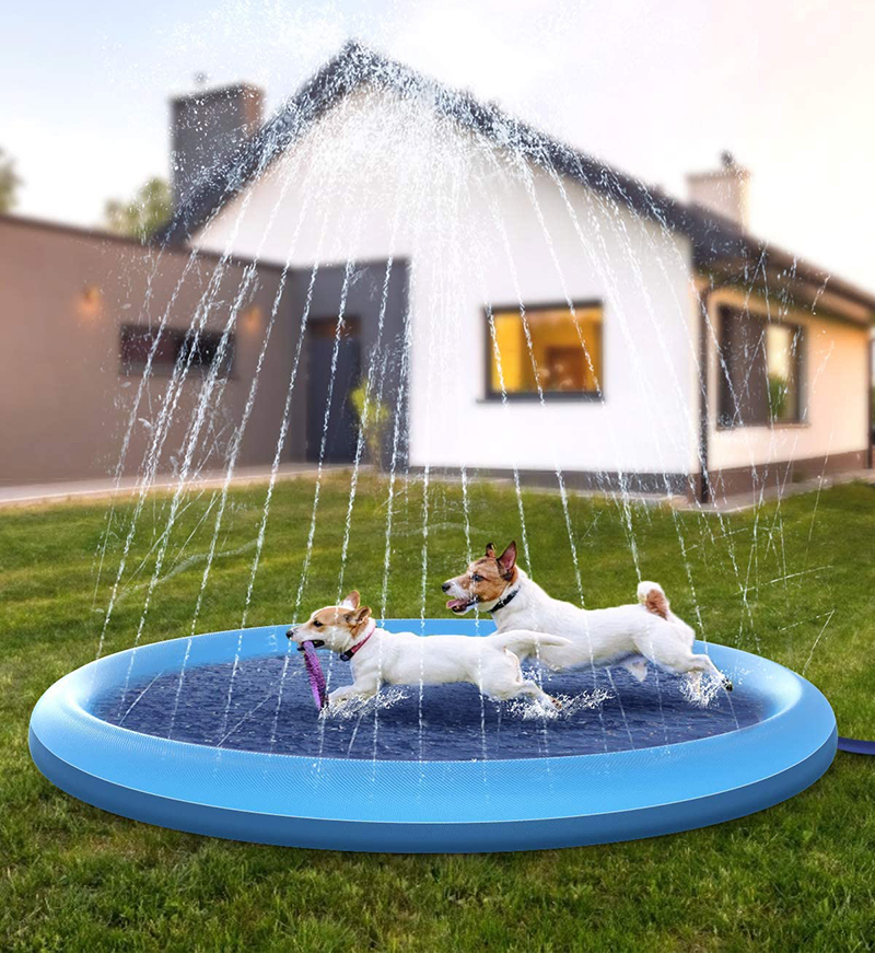 Planschbecken für Hunde mit Wassersprinkler