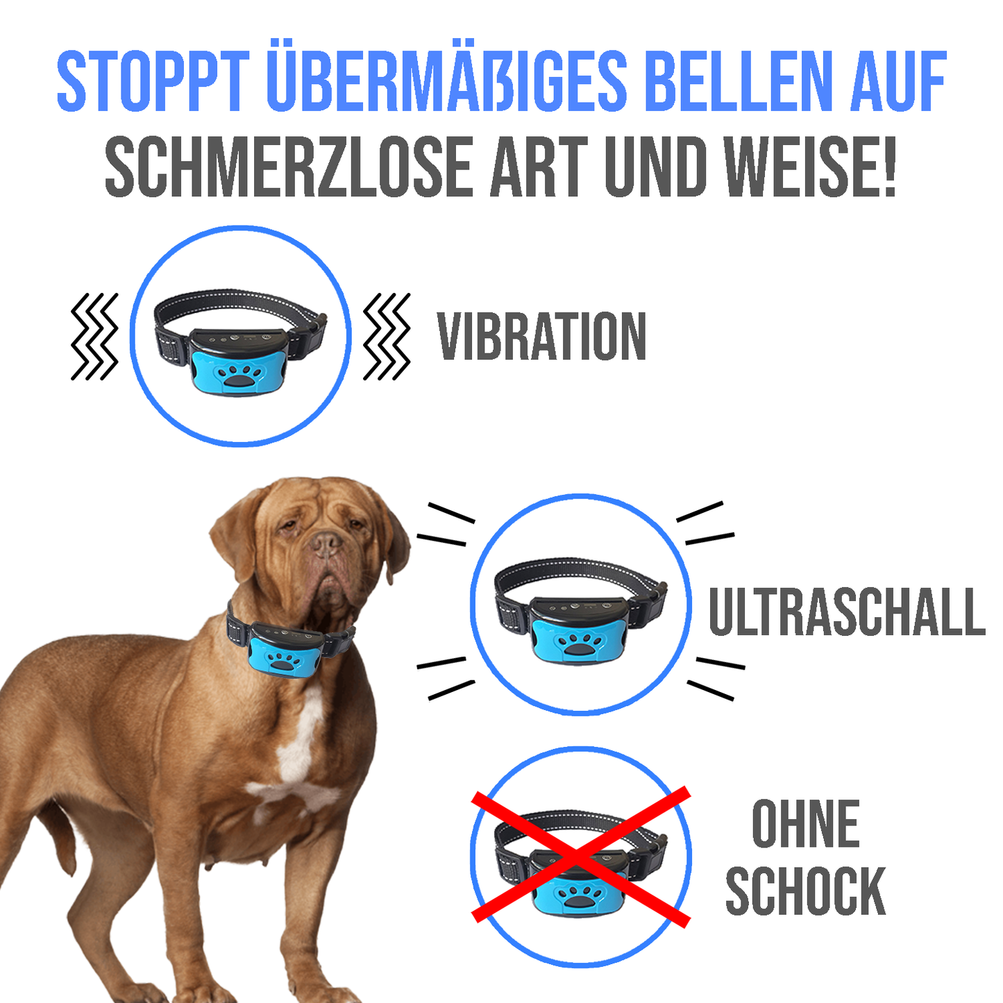 Tierfreundliches Anti-Bell Halsband
