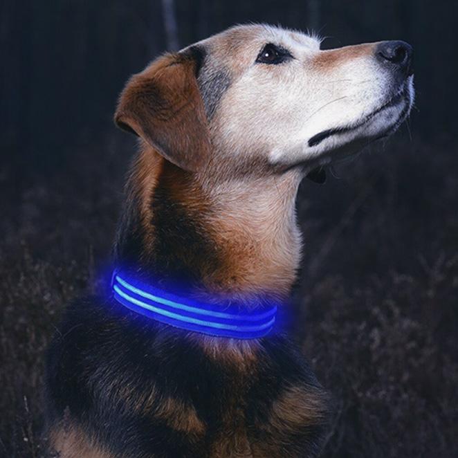 Fellnasenstube™ LED Leuchthalsband