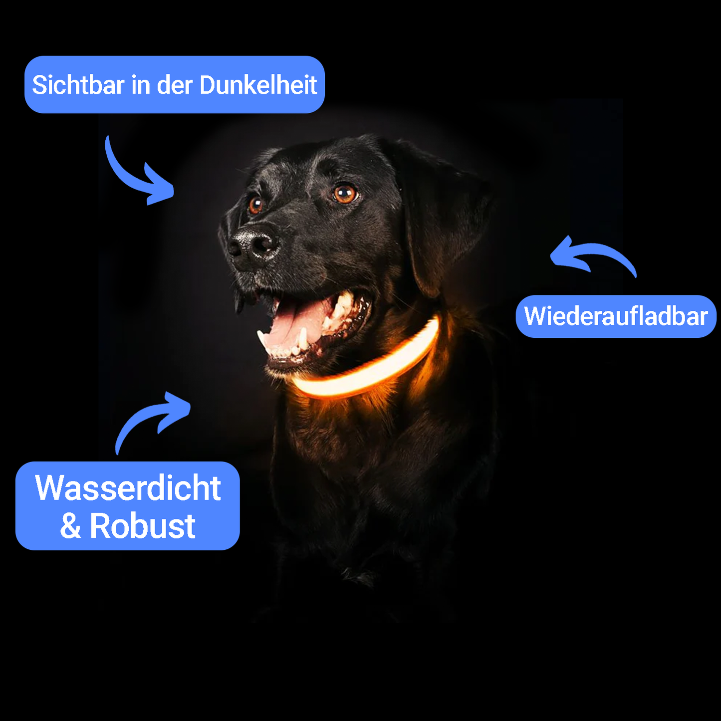 Fellnasenstube™ LED Leuchthalsband