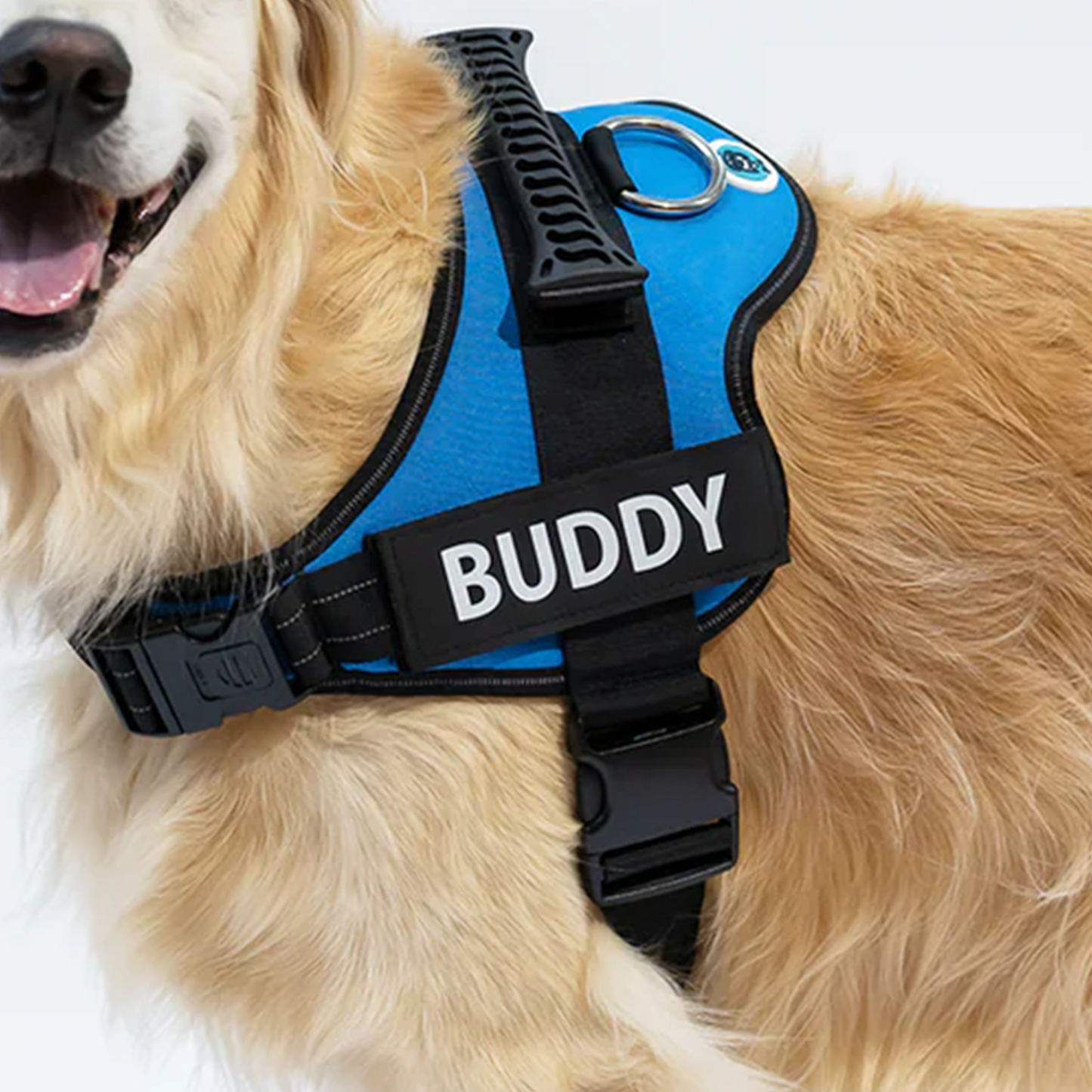 Personalisiertes Anti-Zug Hundegeschirr