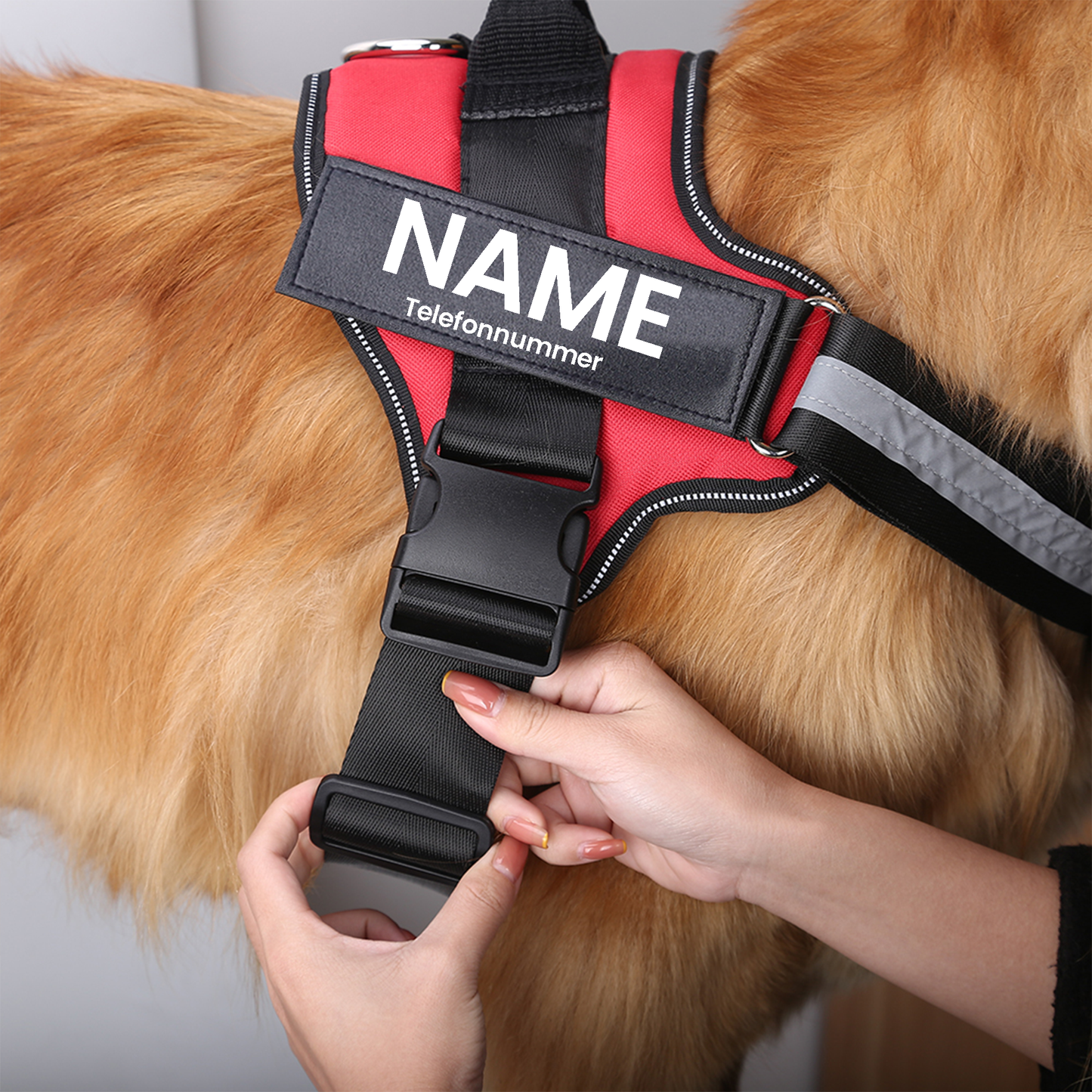 Personalisiertes Anti-Zug Hundegeschirr