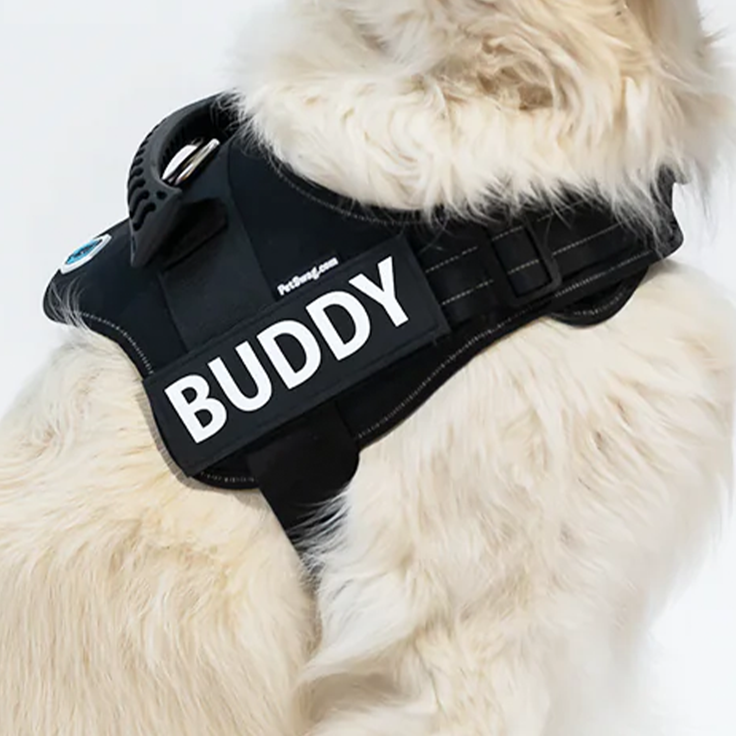 Personalisiertes Anti-Zug Hundegeschirr