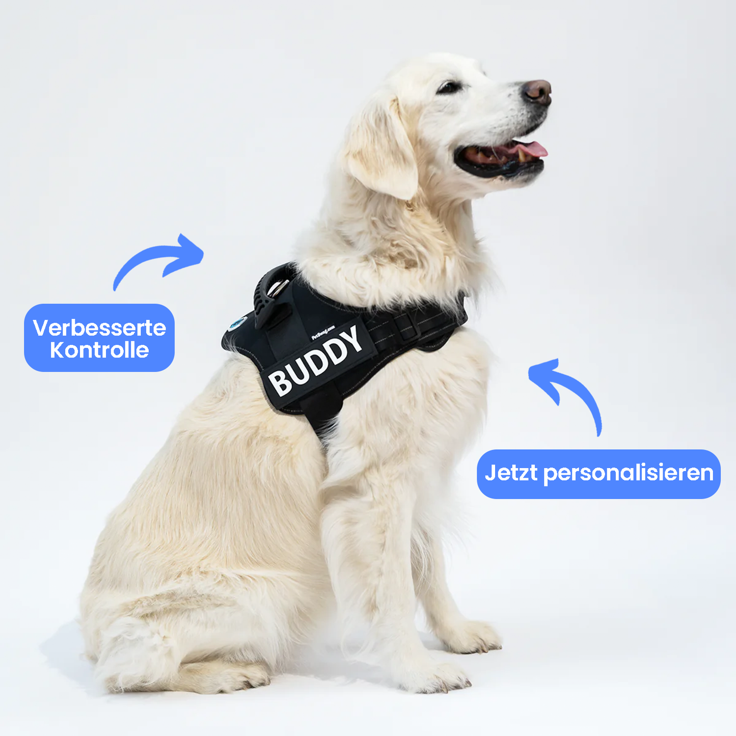 Personalisiertes Anti-Zug Hundegeschirr