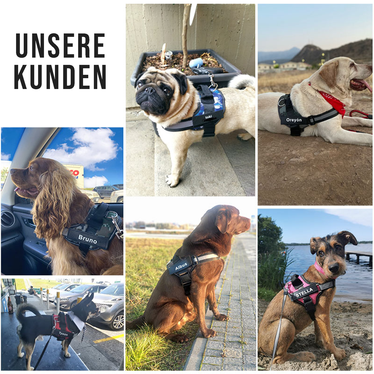 Personalisiertes Anti-Zug Hundegeschirr