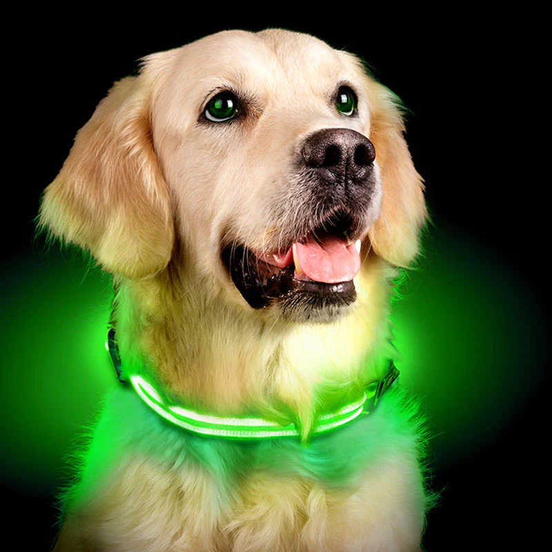 Fellnasenstube™ LED Leuchthalsband