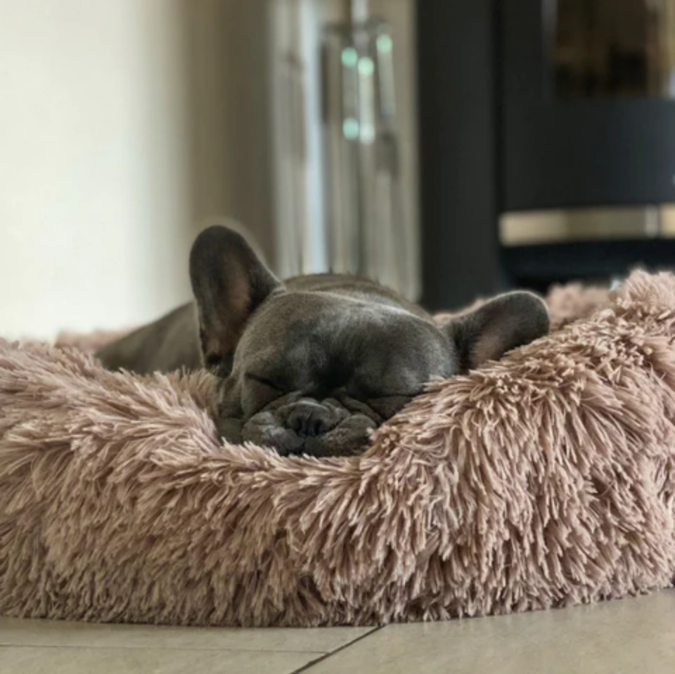 "Wolke 7" Kuscheliges Hundebett - das Original