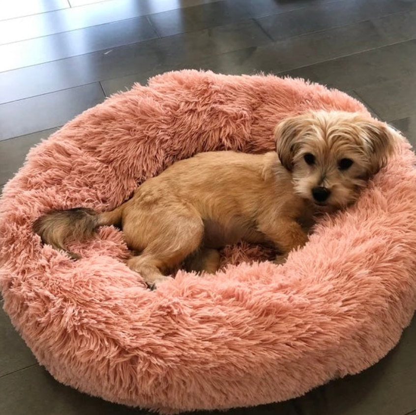 "Wolke 7" Kuscheliges Hundebett - das Original