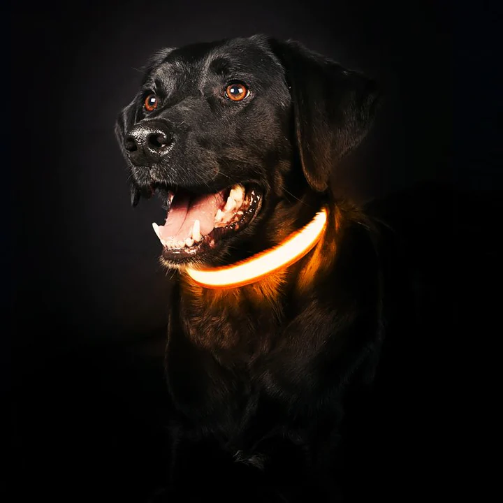 Fellnasenstube™ LED Leuchthalsband