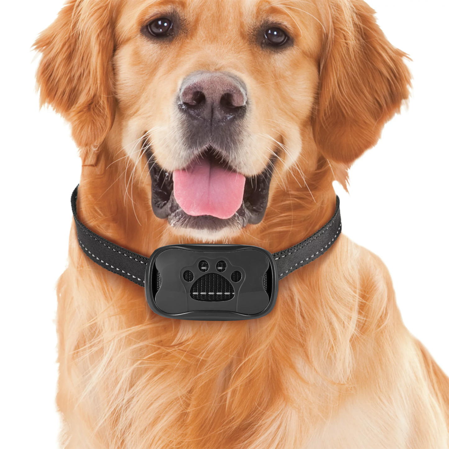 Tierfreundliches Anti-Bell Halsband