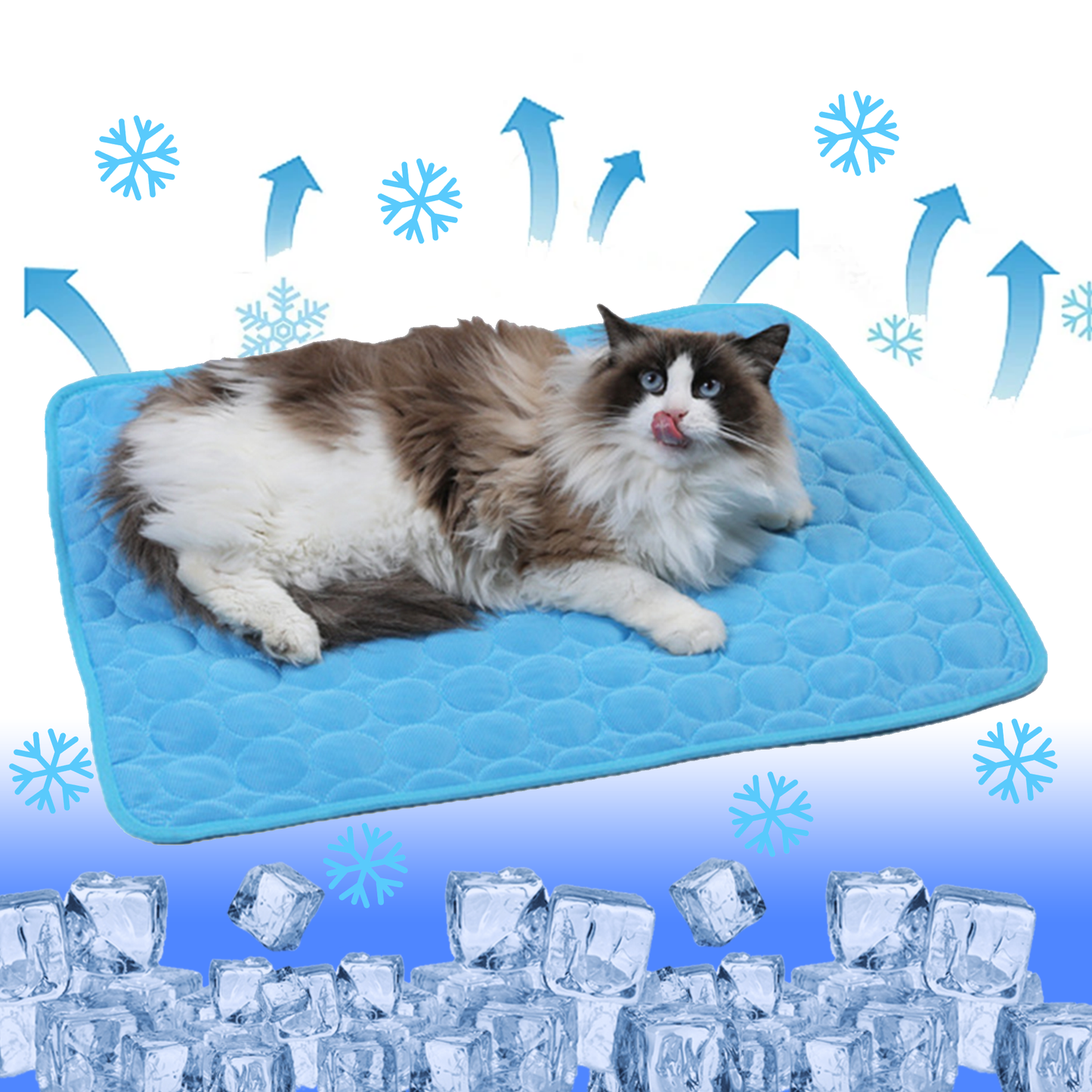CatCool™ Premium Kühlmatte für Katzen