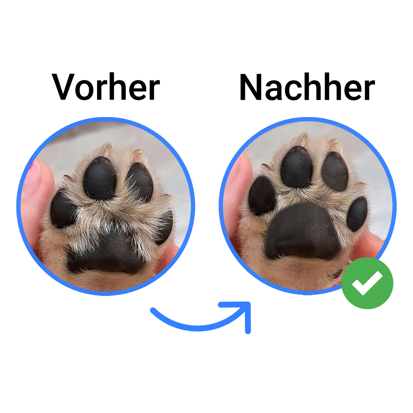 Fellnasenstube™ Pfotentrimmer für Hunde & Katzen