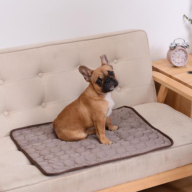 DogCool™ Premium Kühlmatte für Hunde