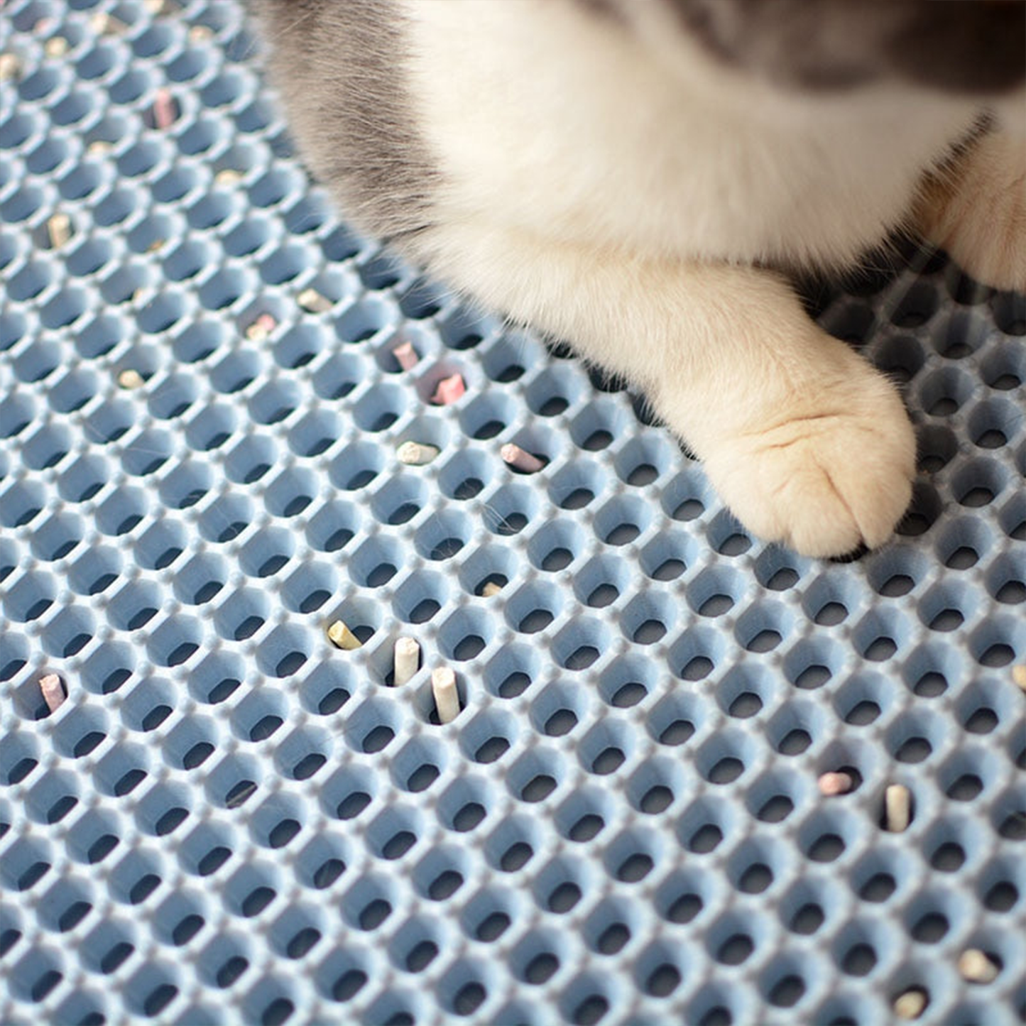 Die innovative Katzenstreumatte