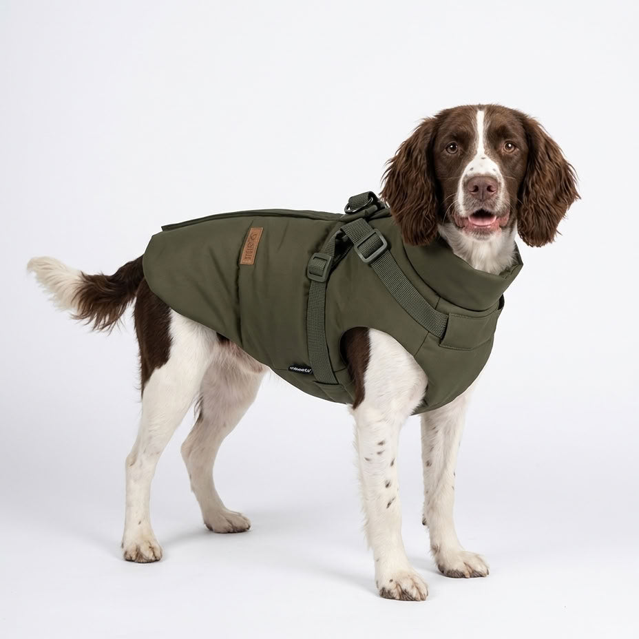 Premium Hundemantel mit Geschirr - Wasserdicht & Winddicht