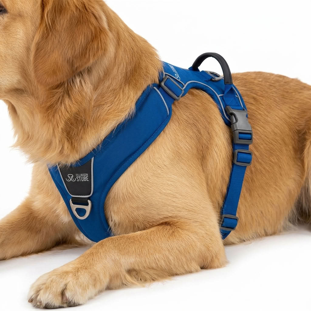 Fellnasenstube® Anti-Zieh Hundegeschirr mit Griff
