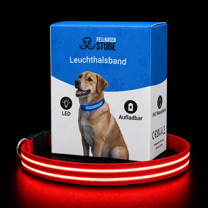 LED Leuchthalsband für Hunde | Fellnasenstube®