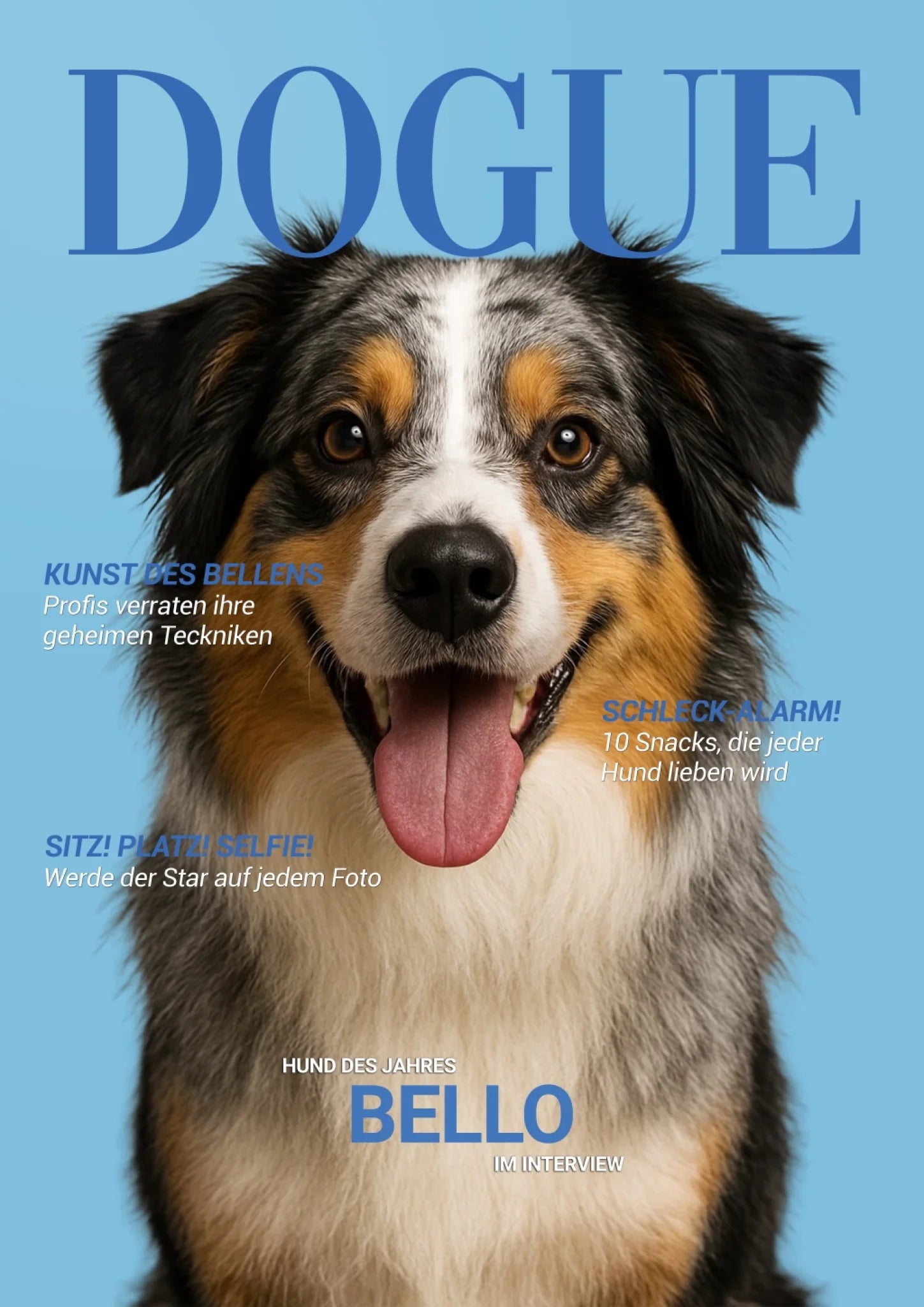 dogue-blau-titelbild