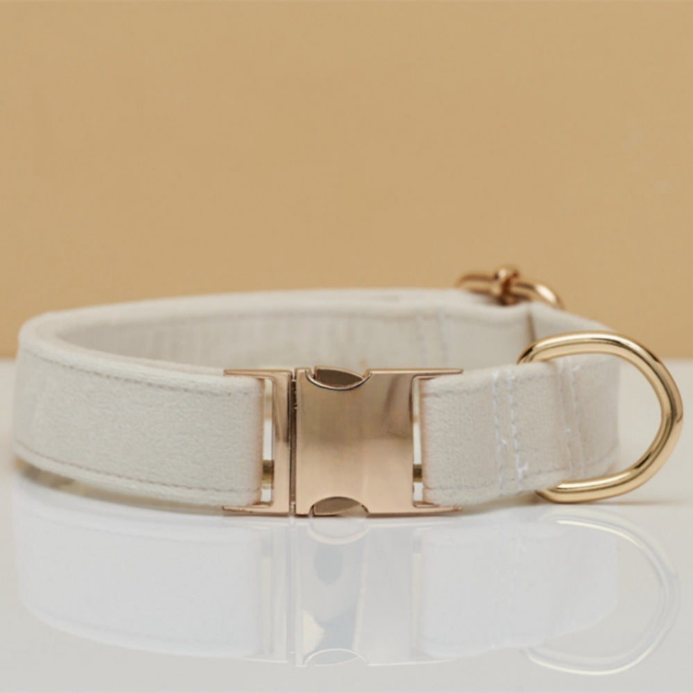 Premium Halsband mit Name & Telefonnummer aus Samt
