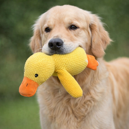 Anti-Stress Ente für Hunde