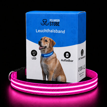 LED Leuchthalsband für Hunde | Fellnasenstube®