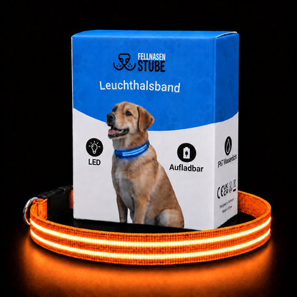 LED Leuchthalsband für Hunde | Fellnasenstube®