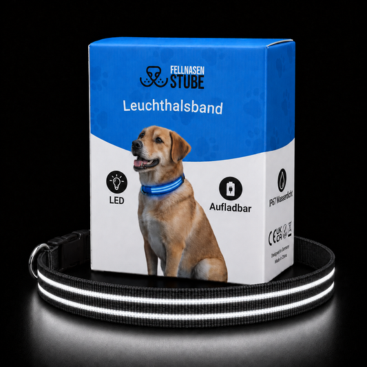 LED Leuchthalsband für Hunde | Fellnasenstube®