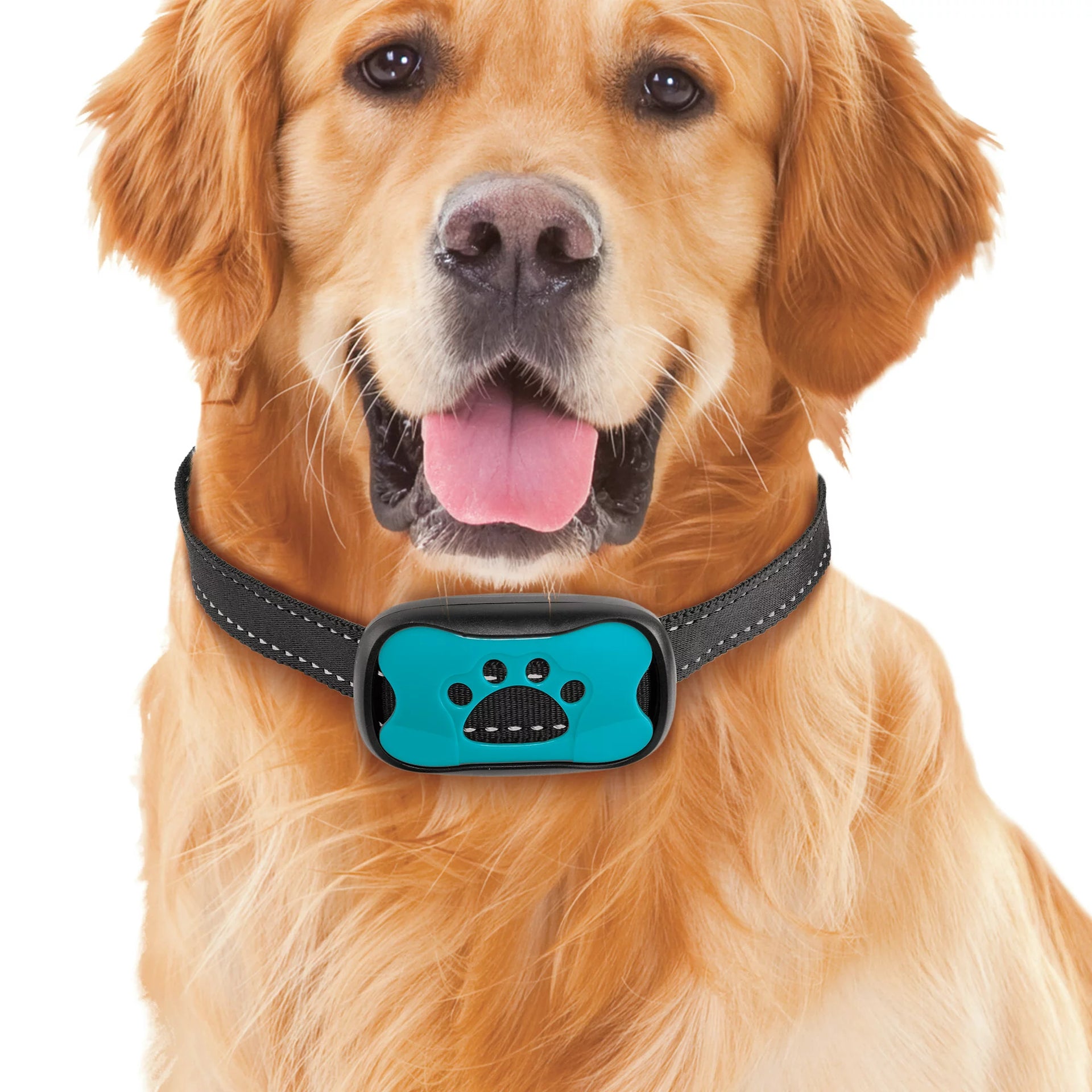 Tierfreundliches Anti-Bell Halsband mit Schallwellentechnologie  Effektive  und Schmerzfreie Lsung gegen Hundebellen  Fellnasenstube