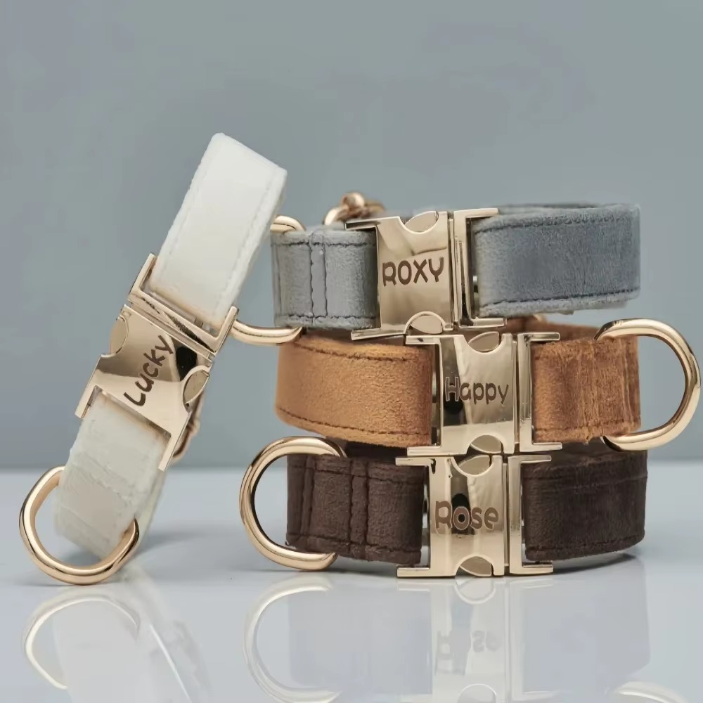 Premium Halsband mit Name & Telefonnummer aus Samt