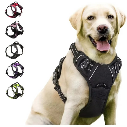 Fellnasenstube™ Anti-Zug Hundegeschirr