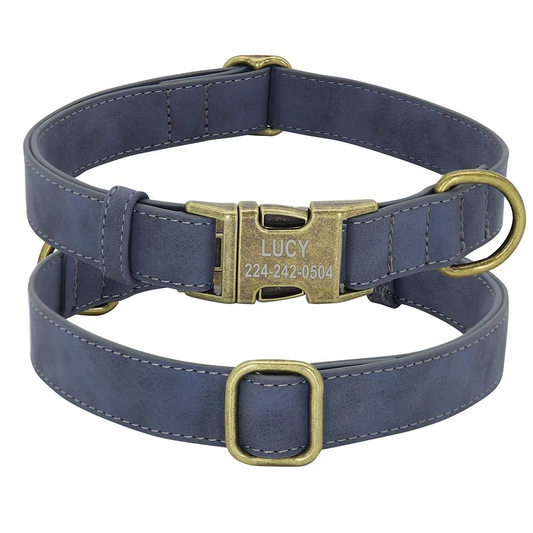 Personalisiertes Halsband aus Kunstleder