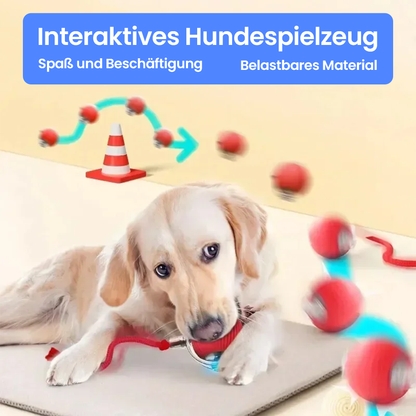 DogRocket™ Interaktives Hundespielzeug