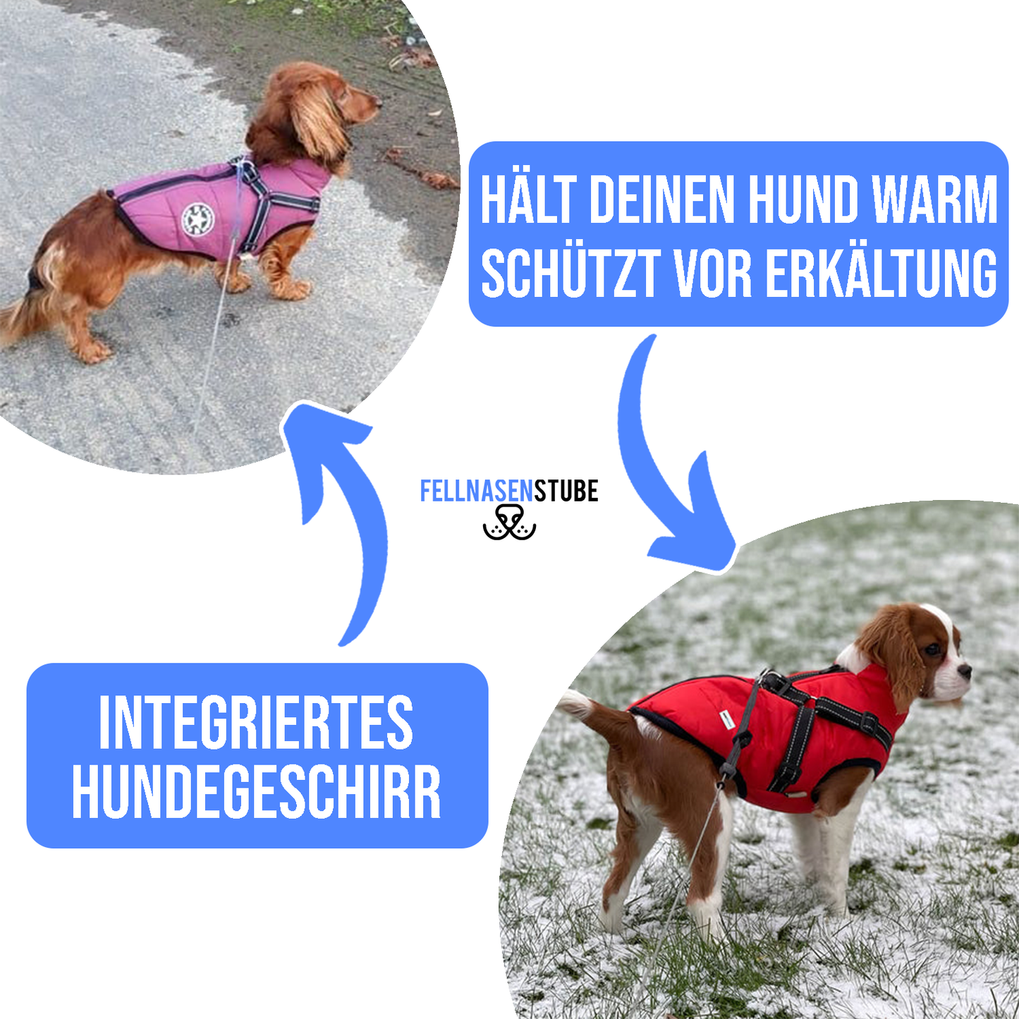 Wasserdichter Hundemantel mit integriertem Geschirr