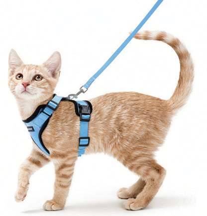 SafeCat™ Katzengeschirr: Ausreißsicher & Komfortabel
