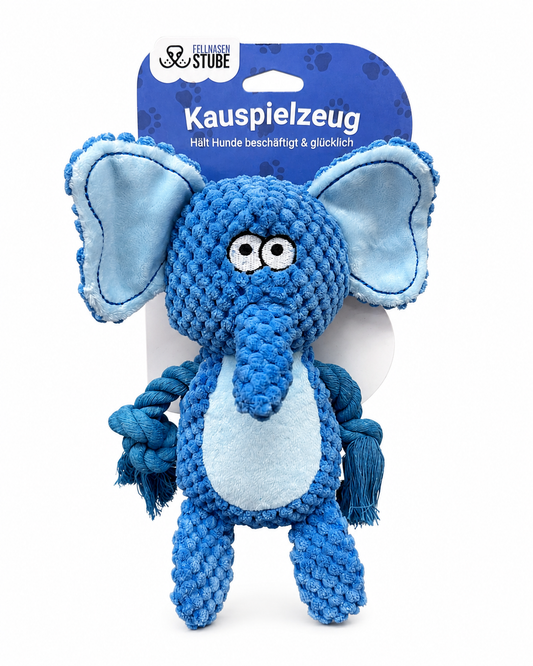 Robustes Kau- & Zerrspielzeug mit Seil & Quietschi