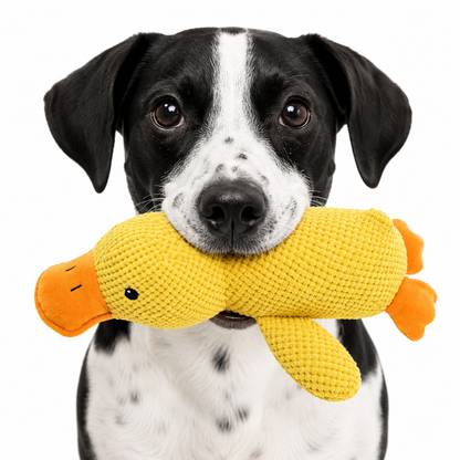 Anti-Stress Ente für Hunde