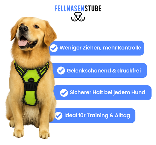 Fellnasenstube™ Anti-Zug Hundegeschirr