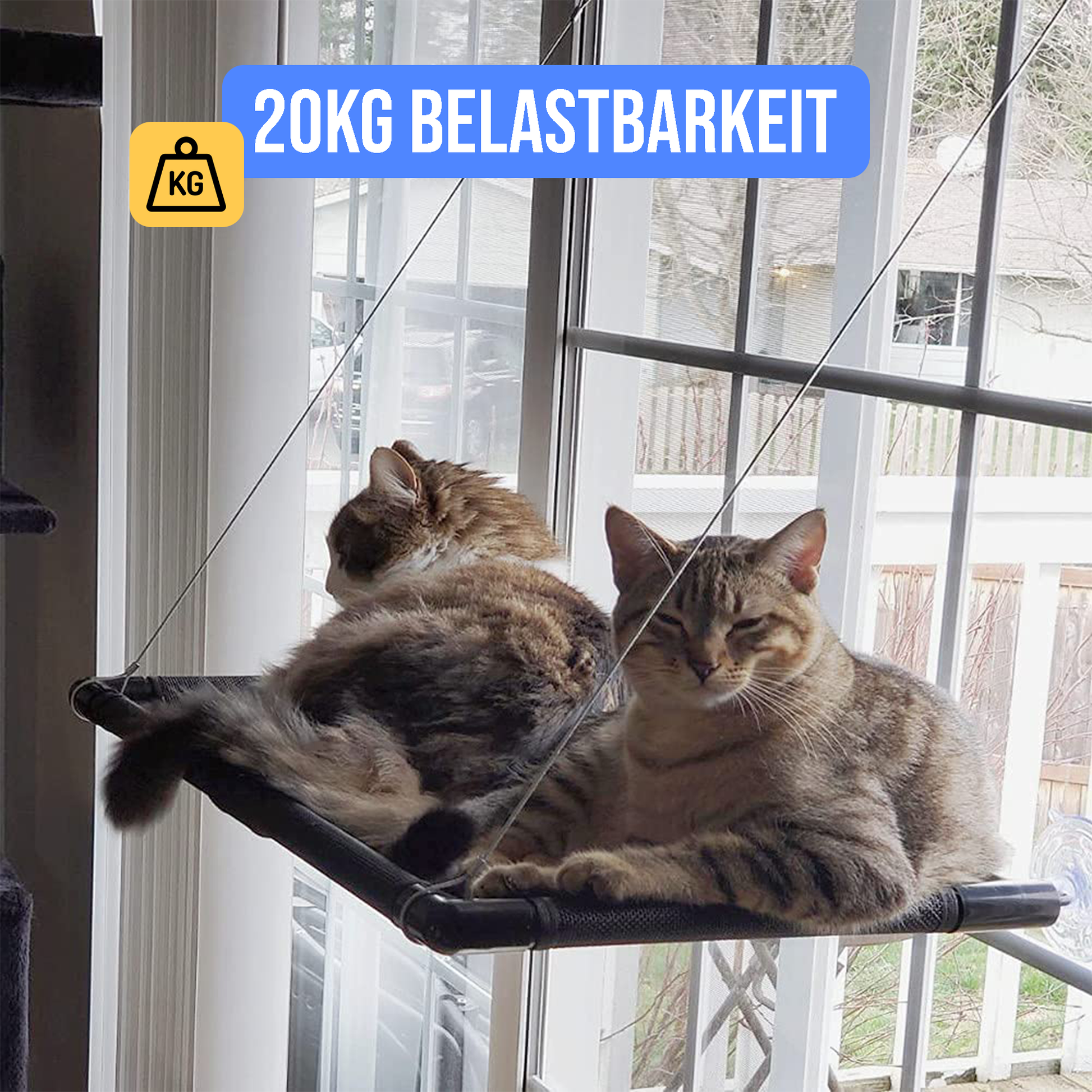 hängematte katzen fenster Kuschelige Katzenhängematte Fenster Jagdinstinkt Fellnasenstube