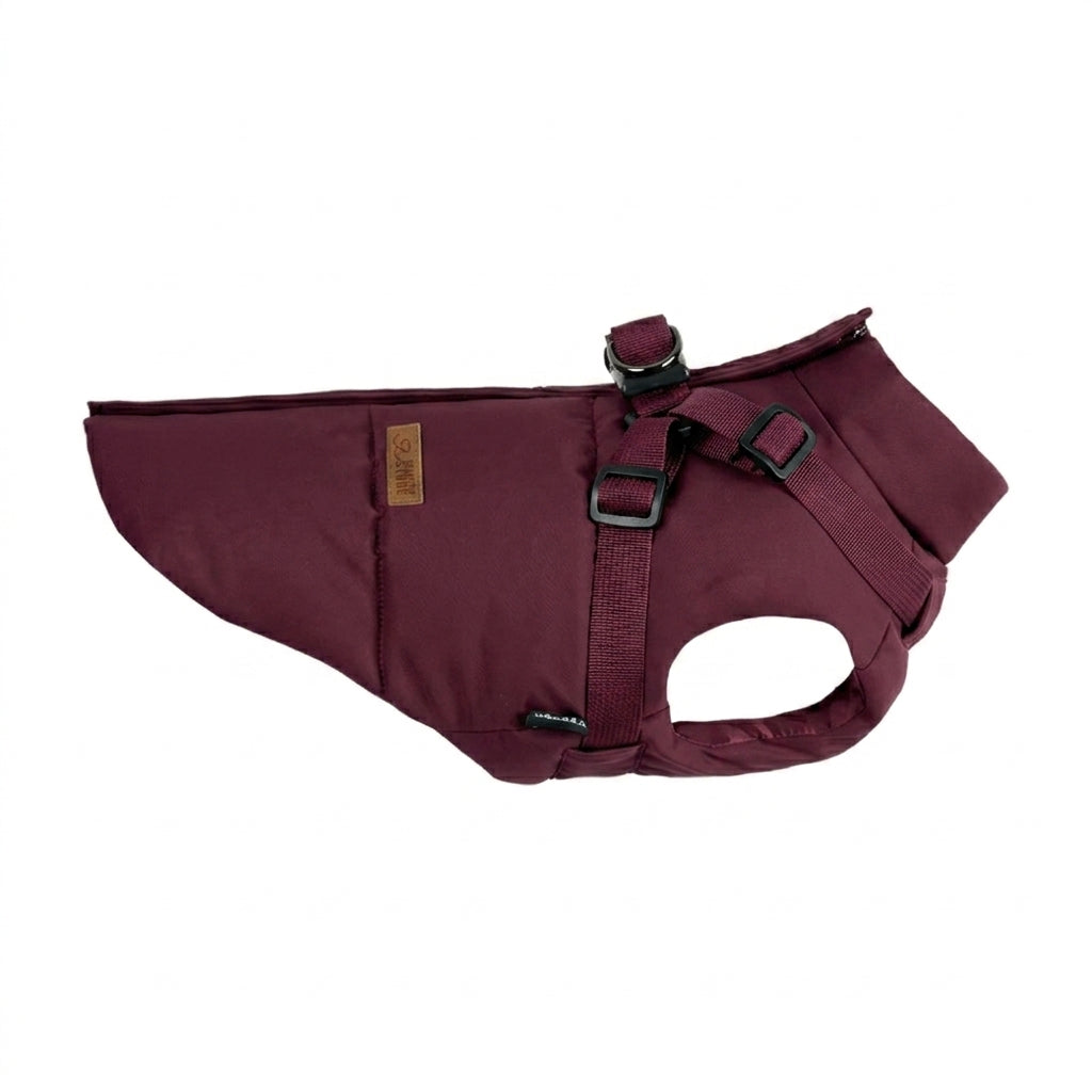Premium Hundemantel - Wasserdicht & Winddicht