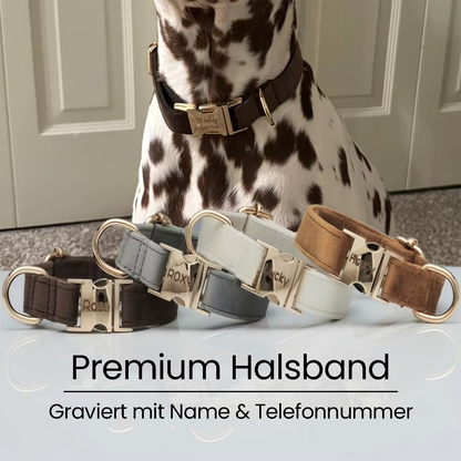 Premium Halsband mit Name & Telefonnummer aus Samt